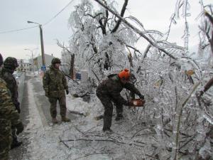 Žled 2014, foto M. Zver 